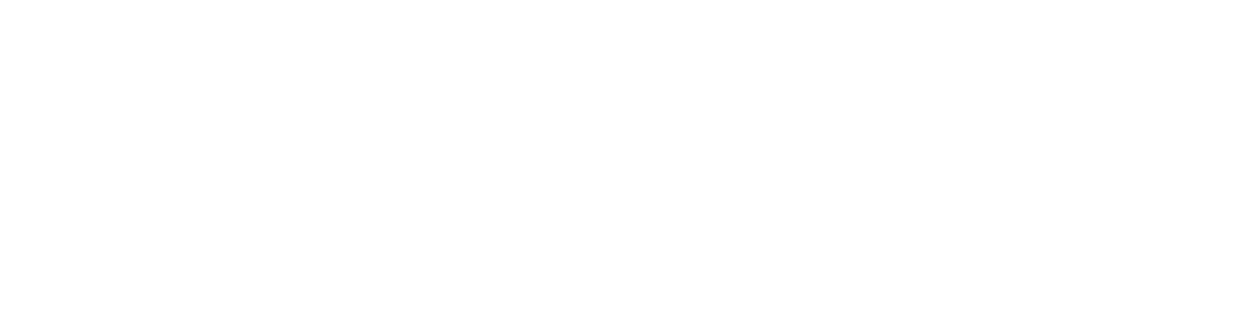 Ferrotur